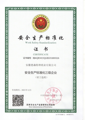 安全生產(chǎn)標(biāo)準(zhǔn)化
